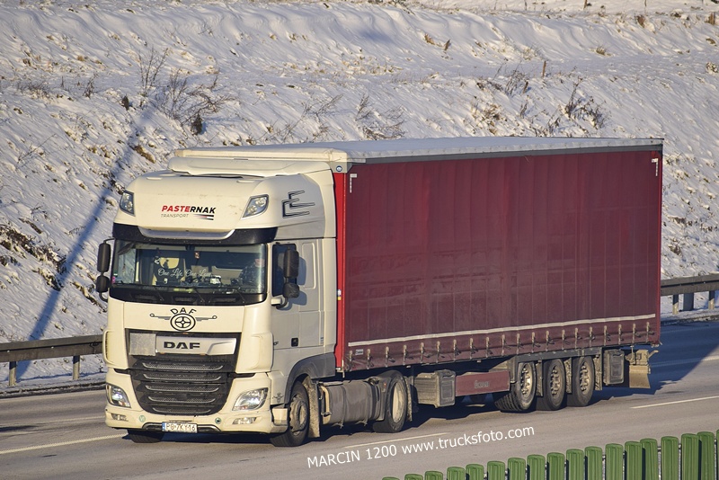 _DSC00011 (2540) PASTERNAK-crop-DAF XF 106 II.JPG