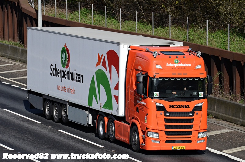 DSC_5505 scherpenhuizen.JPG