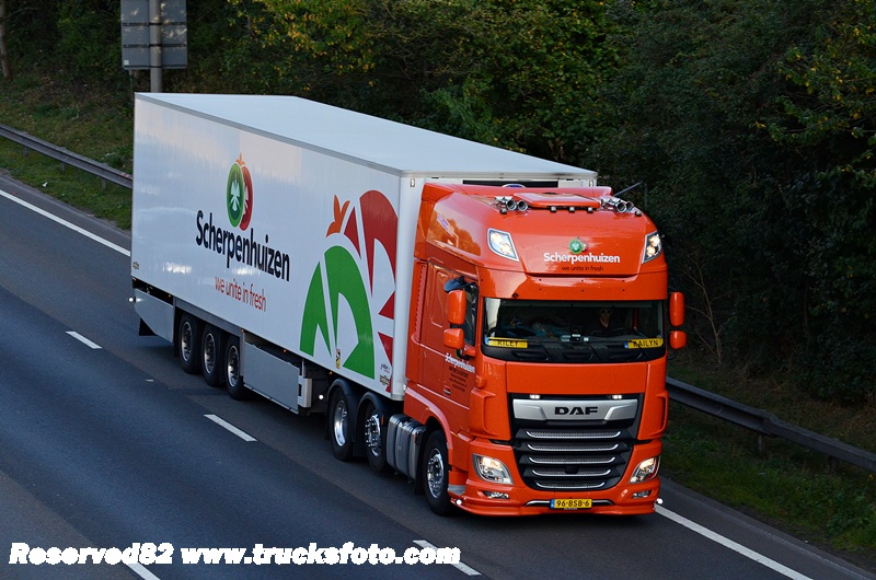 DSC_9104 Scherpenhuizen.JPG