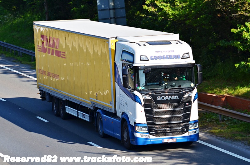 DSC_7266 Goossens.JPG