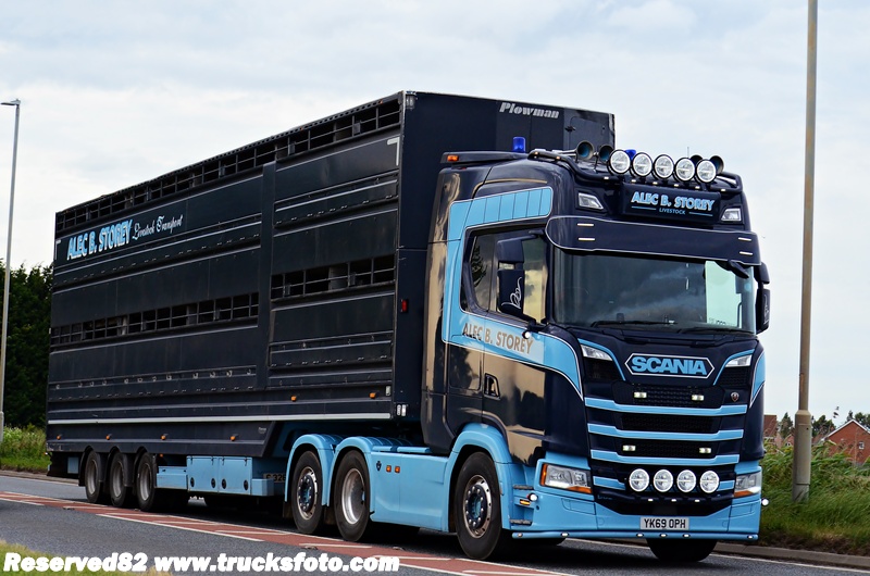 DSC_5587 Alec B.Storey.JPG