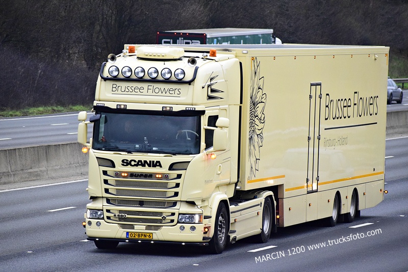 _DSC9098 BRUSSEE FLOWERS-crop-SCANIA R580 V8.JPG