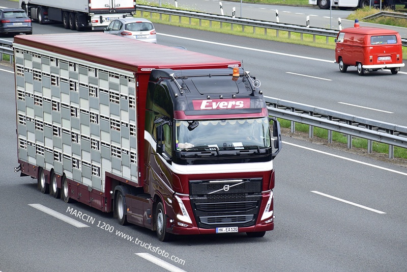 _DSC9360 EVERS-crop-VOLVO FH5 - VW T2.JPG