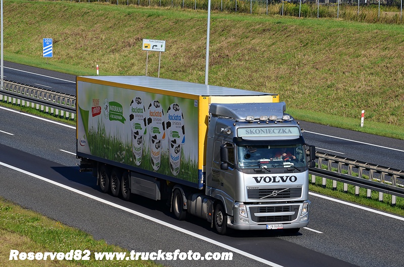 DSC_5167 LAPLAST SKONIECZKA.JPG