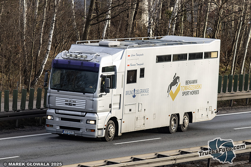 MAN TGA - Beniamin Tomaszewski Sport Horses.jpg