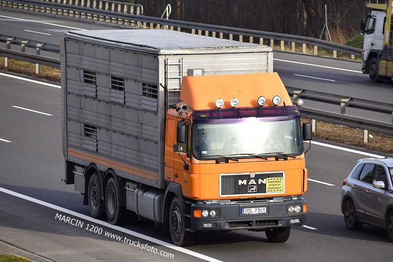 _DSC8888 MAN F2000-crop--------.JPG