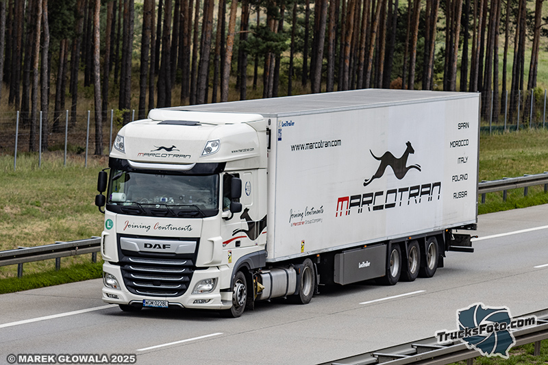 DAF XF - Marcotran.jpg