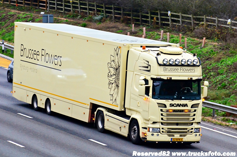 DSC_8409 Brussee Flowers.JPG