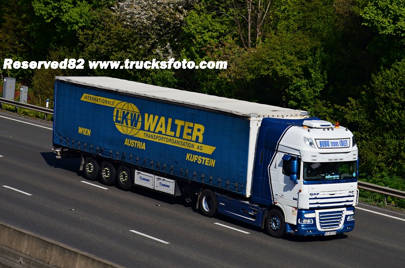 DSC_0933 bubu trans colet.JPG