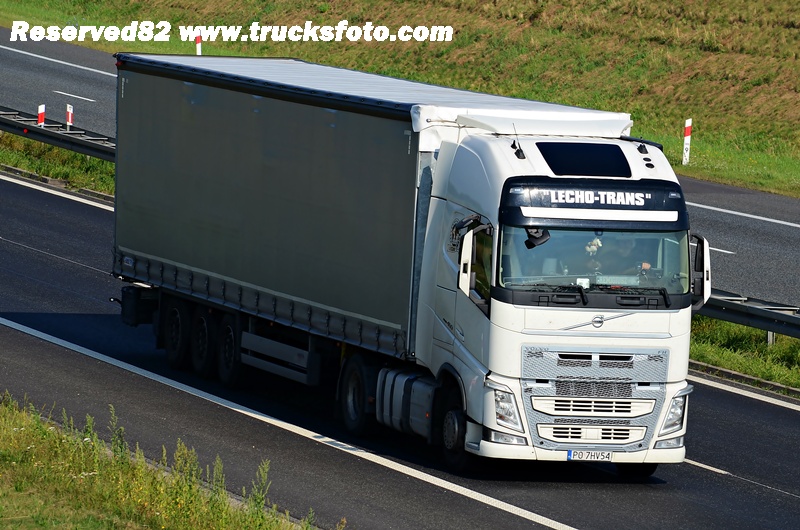 DSC_3195 Lecho-Trans.JPG