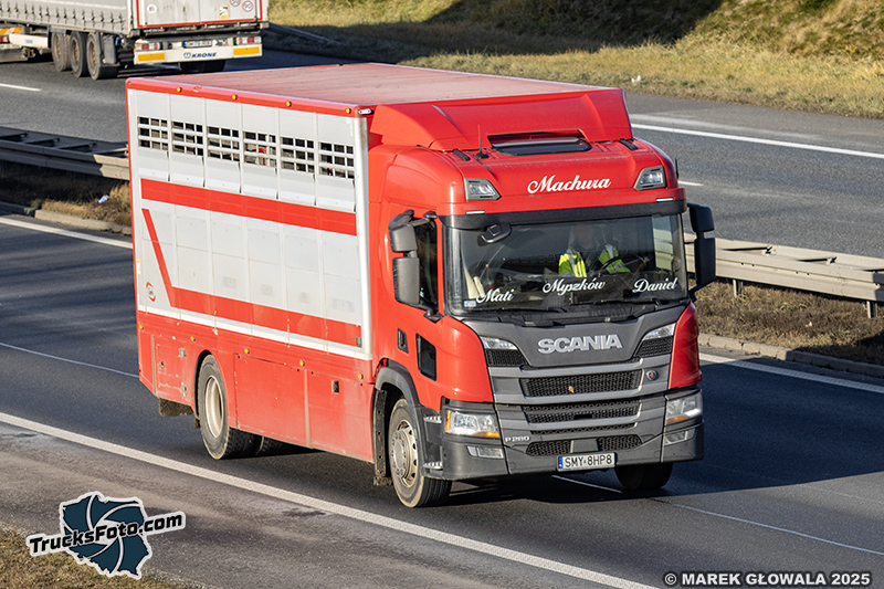 Scania P280 - Machura.jpg