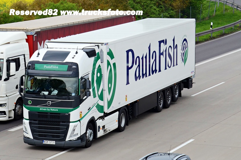 DSC_6545 PAULAFISH.JPG