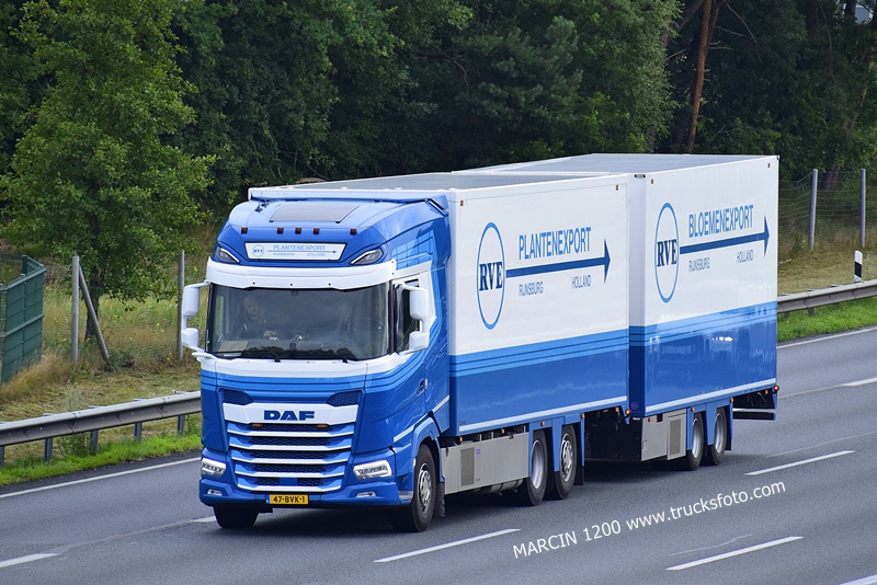 _DSC8539 RVE PLANTENEXPORT-crop-DAF XG.JPG
