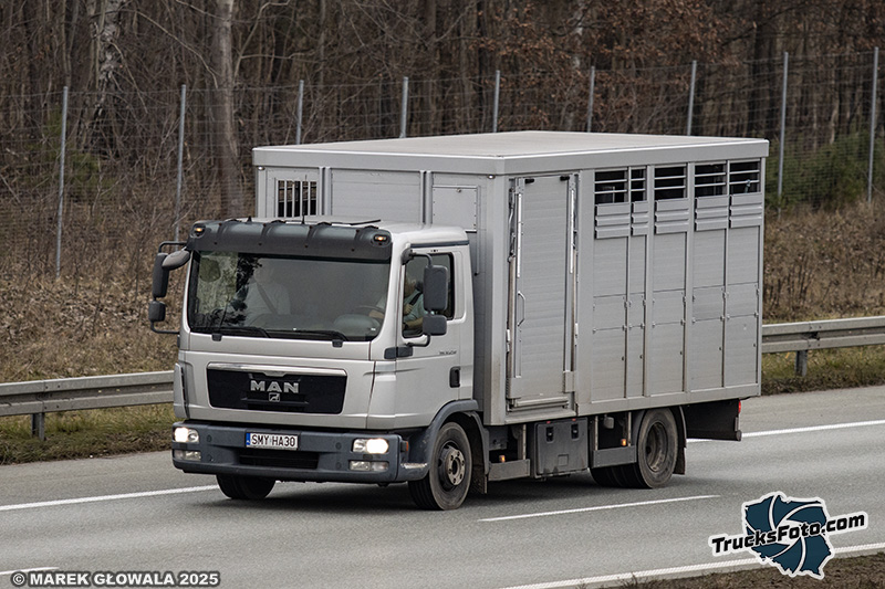 MAN TGL - przewóz zwierząt.jpg