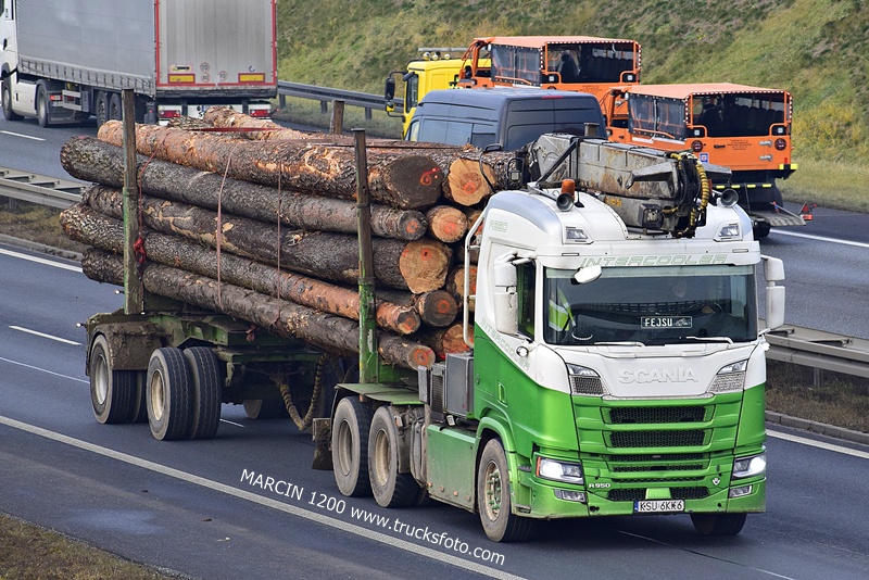 _DSC8663 DREWNO-crop-SCANIA R650 V8 DREWNOLAND.JPG