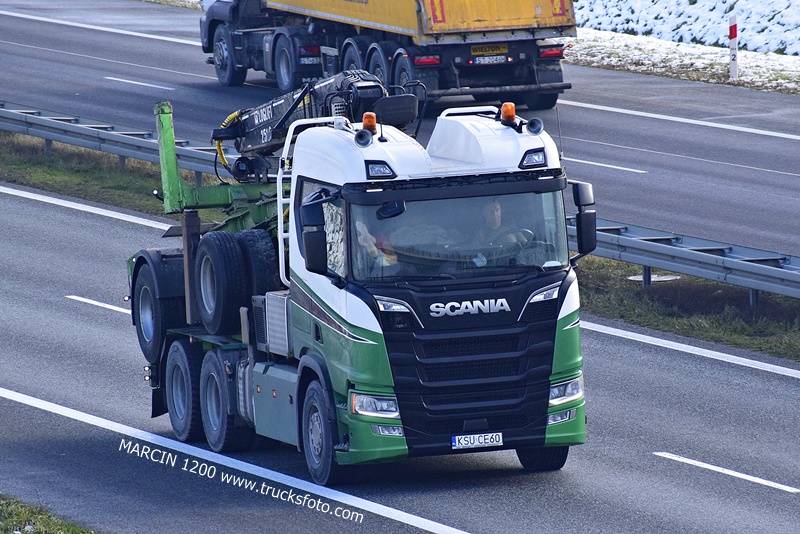 _DSC6264 DREWNO-crop-SCANIA R NG-DREWNOLAND.JPG