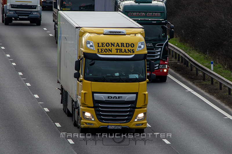 Leonardo Leon Trans.jpg