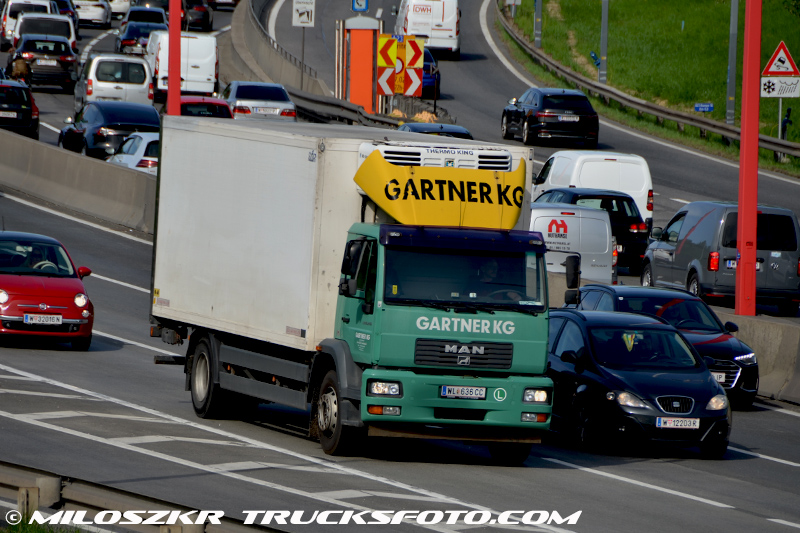 Man TGL_Gartner_4670.JPG