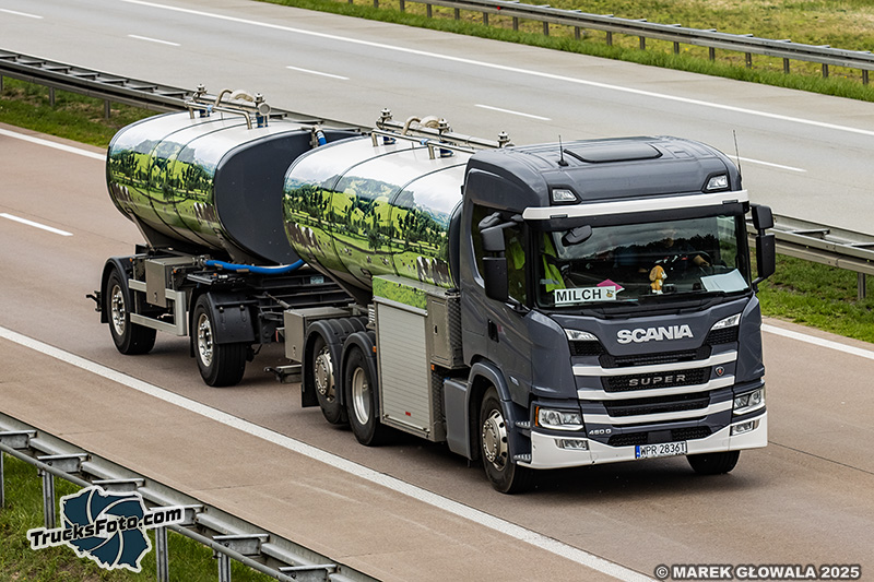 Scania 460G Super - Mleczarek.jpg