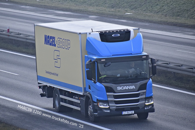 _DSC7488 NAGEL GROUP-crop-SCANIA P280.JPG