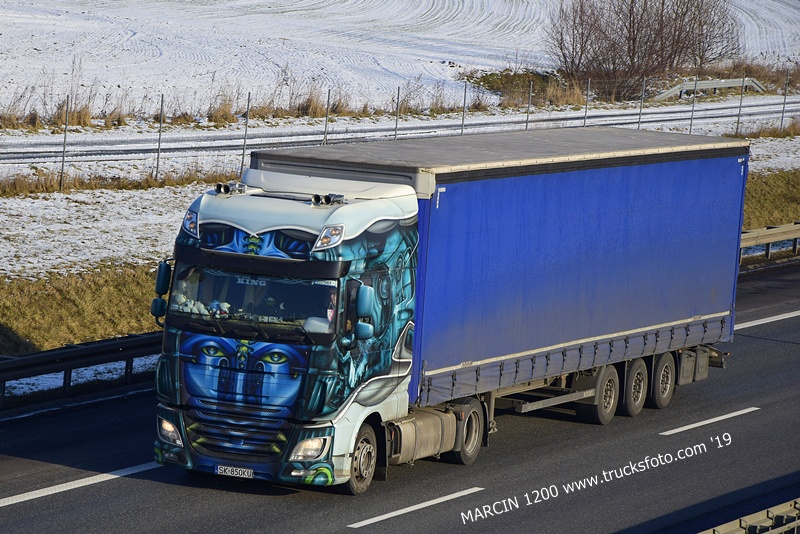 _DSC4141 NIKA TRANS-crop-DAF XF 106.JPG