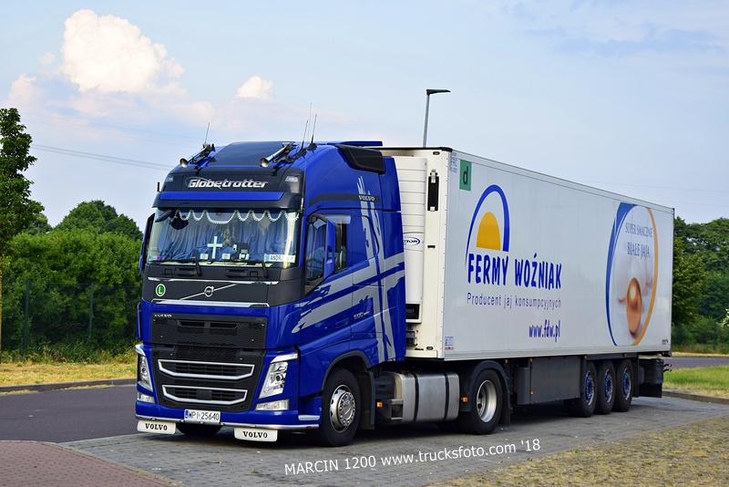 _DSC9813 FERMY WOŹNIAK-crop-VOLVO FH4.JPG