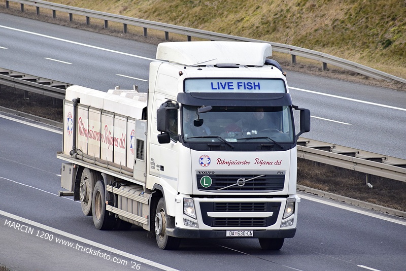 _DSC1690 RIBNJACARSTVO POLJANA D.D.-crop-LIVE FISH-VOLVO FH3.JPG