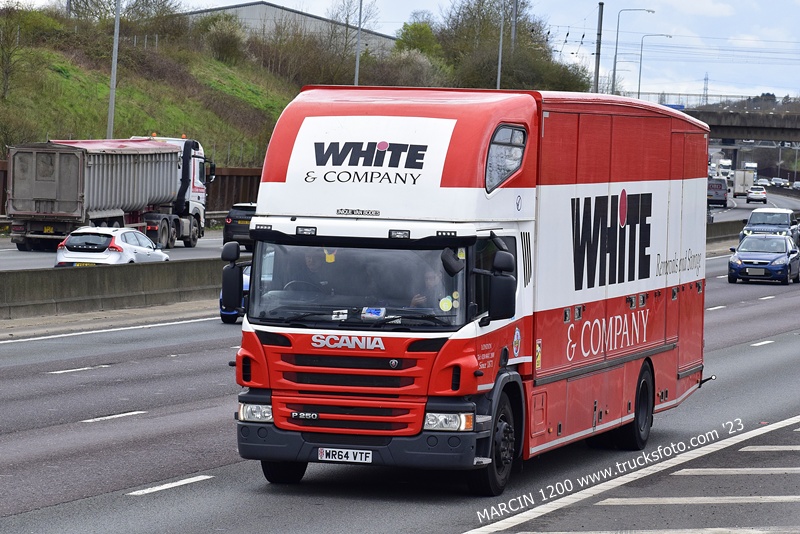 _DSC0695 WHITE-crop-SCANIA P250.JPG