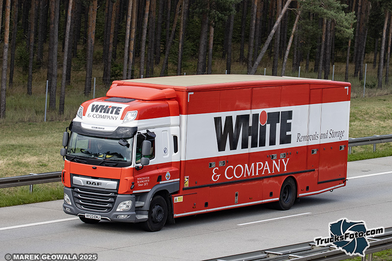 DAF CF - White & Company.jpg