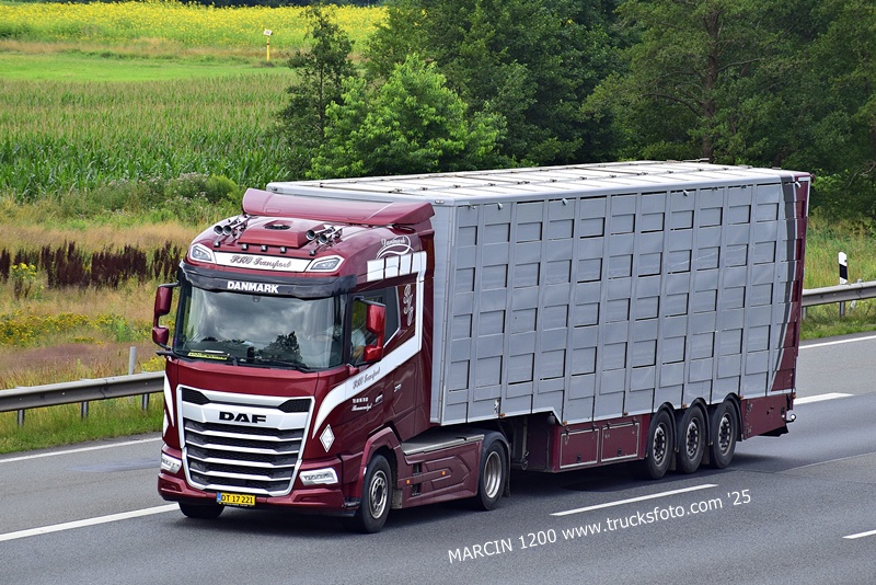 _DSC8640 PKO TRANSPORT-crop-DAF XG.JPG