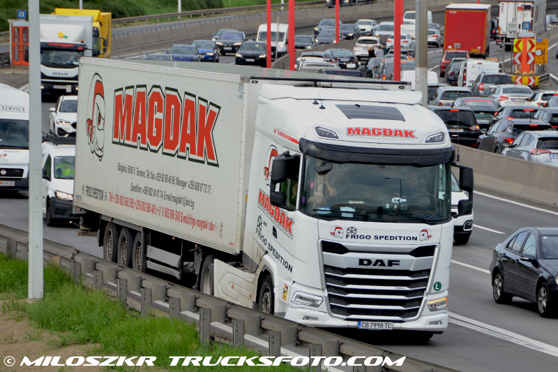 Daf XG_Magdak_5511.JPG