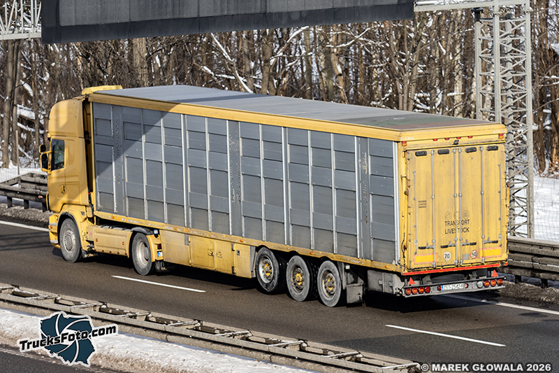 Scania R500 Livestock.jpg