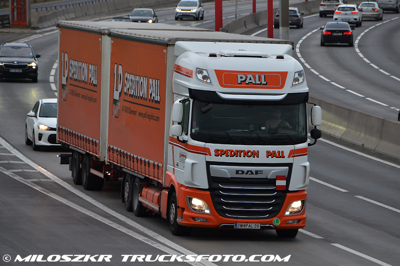 Daf 106 XF_Spedition Pall_4402.JPG