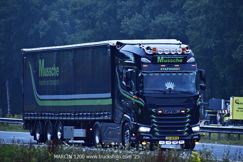 _DSC9598 MUSSCHE-crop-DAF XG+.JPG