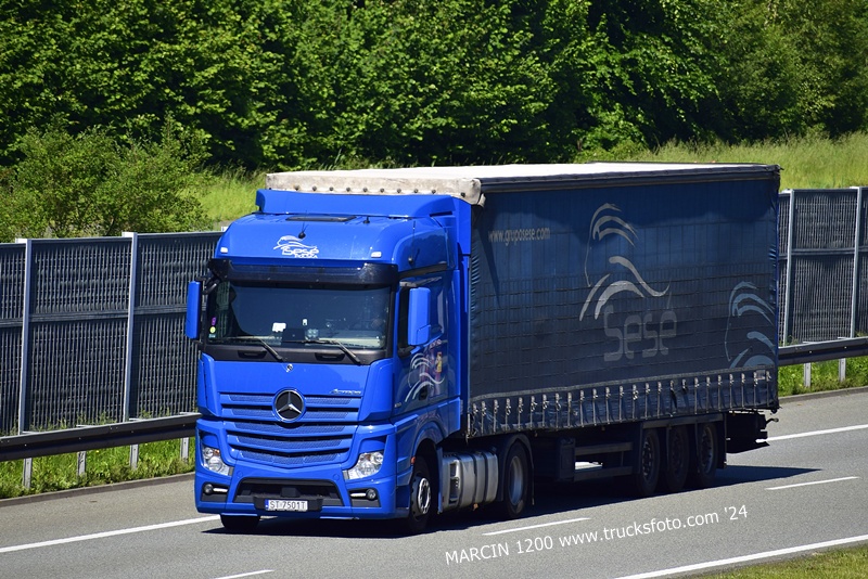 _DSC00011 (833) SESE-crop-ACTROS MP4.JPG