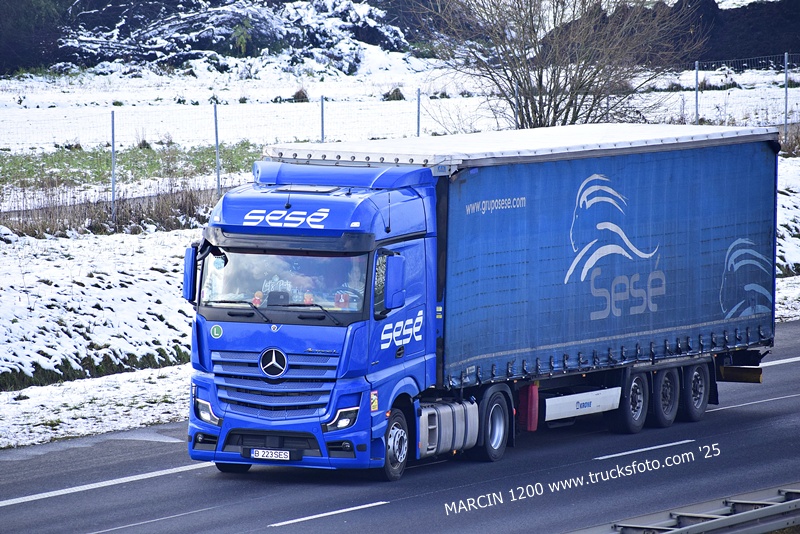 _DSC6175 SESE-crop-ActrosL MP5.JPG