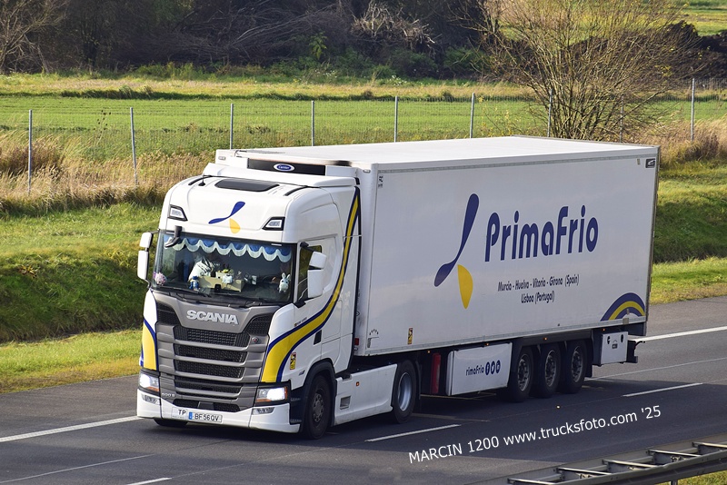 _DSC5584 PRIMA FRIO-crop-SCANIA S.JPG