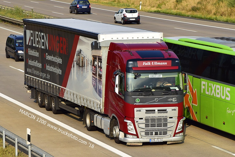_DSC3082-crop-FALK Ullmann Fuhrbetrieb-VOLVO FH4.JPG