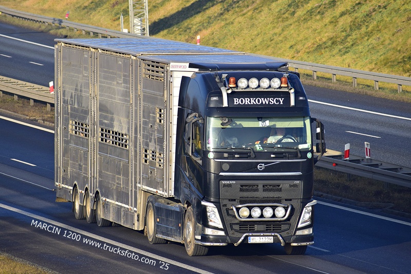 _DSC8482 BORKOWSCY-crop-VOLVO FH4.JPG