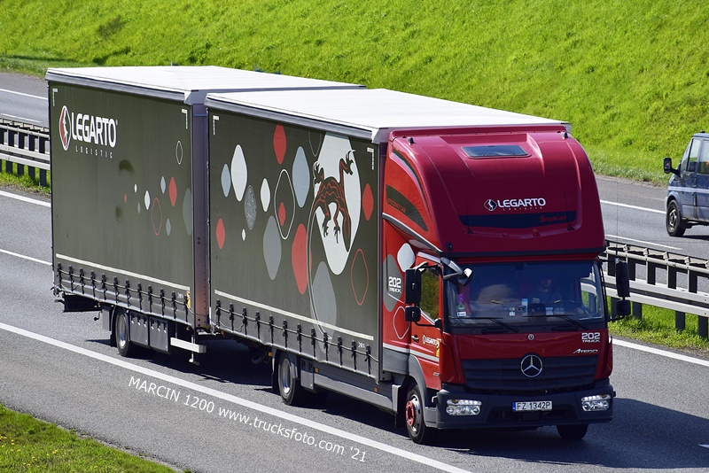 _DSC5993 LEGARTO-crop-ATEGO.JPG