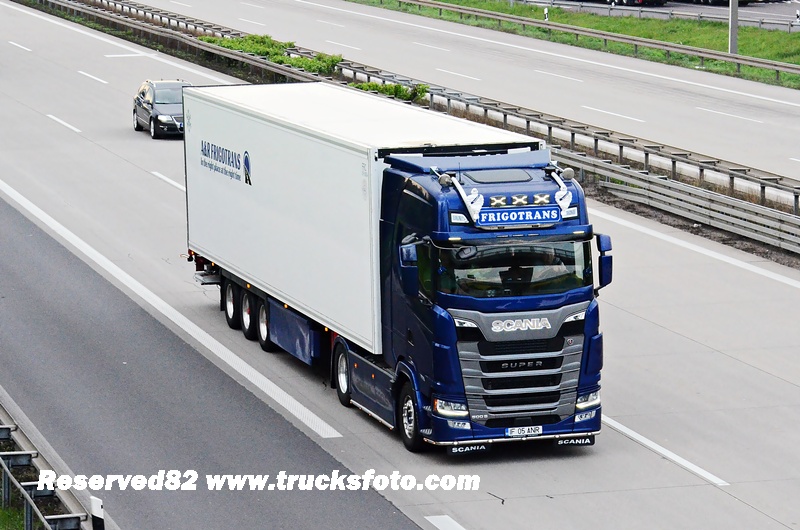 DSC_0791 FRIGOTRANS.JPG