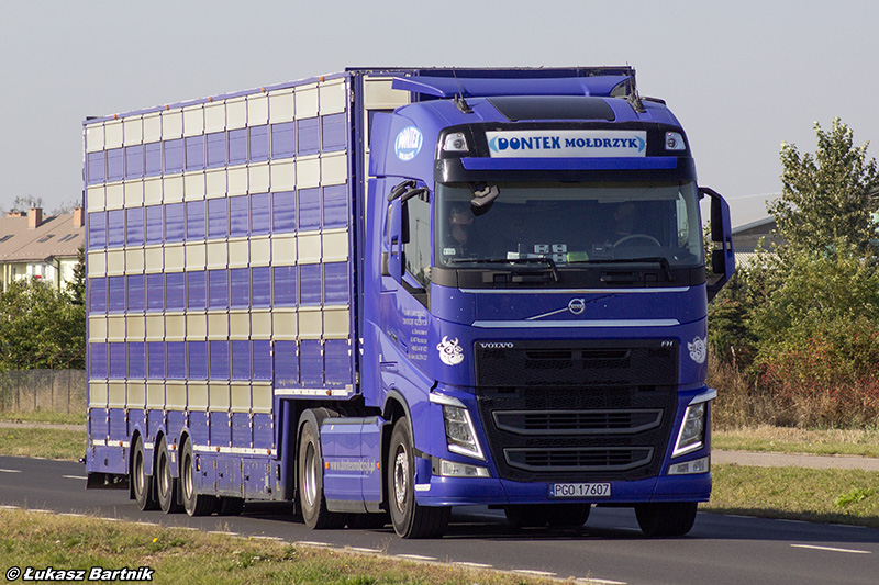 IMG_8241 Volvo FH Dontex.jpg