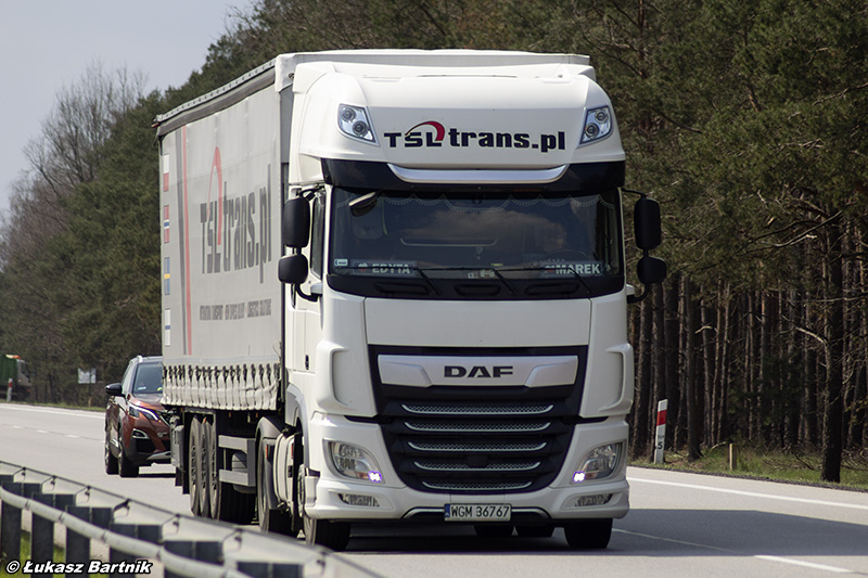 IMG_2086 DAF XF TSL Trans.jpg