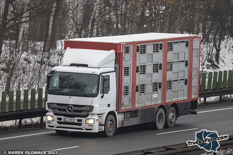 Mercedes-Benz Actros.jpg