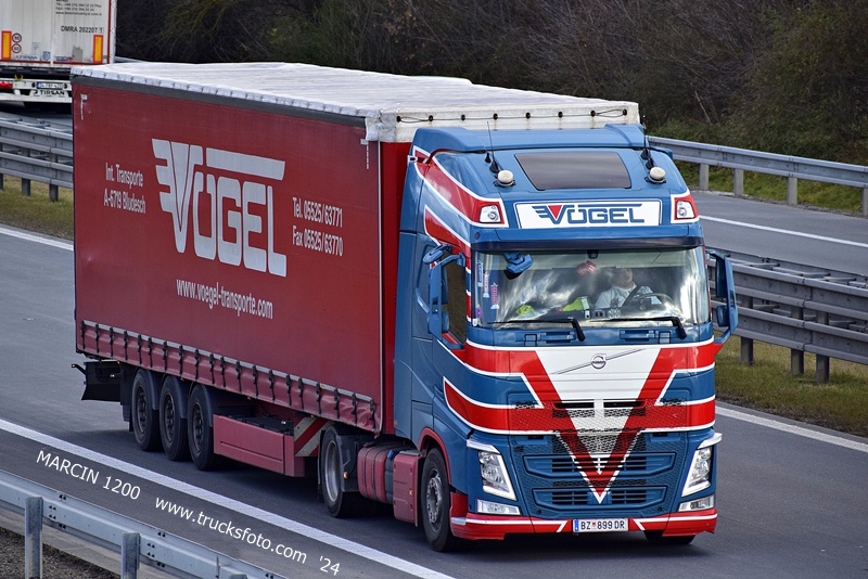 _DSC0622 VOGEL-crop-VOLVO FH4.JPG