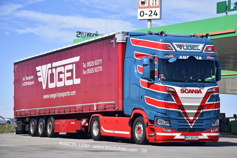 _DSC4442 VOGEL-crop-SCANIA S.JPG